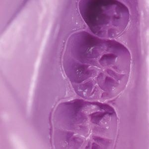 Hydrogum 5 3
