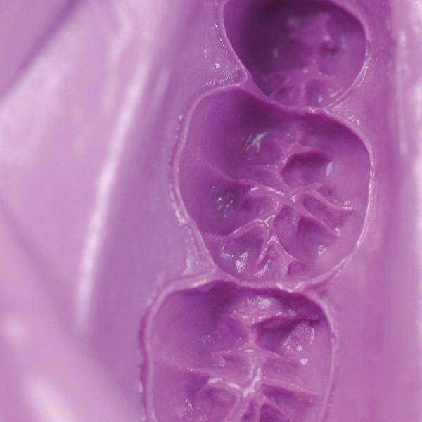 Hydrogum 5 3